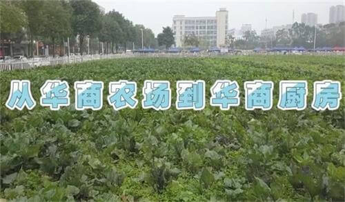 成都华商理工职业学校&mdash;&mdash;华商农场到华商厨房