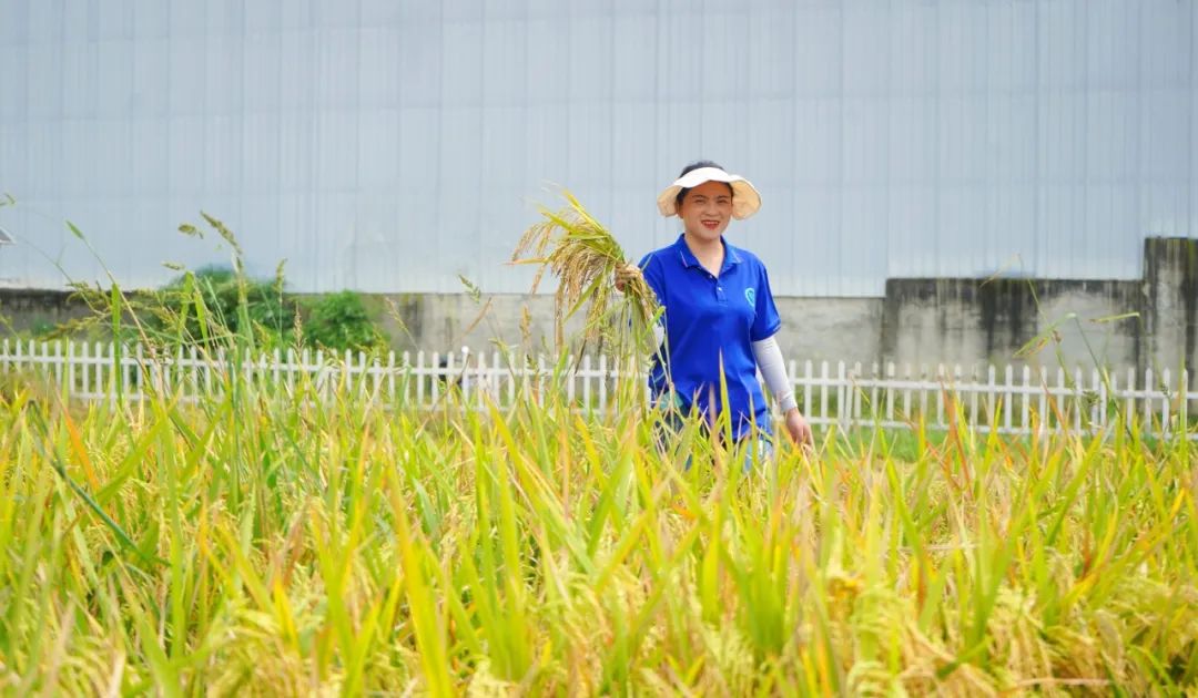 满屏的回忆&mdash;&mdash;成都华商理工职业学校2023年度精彩瞬间之人文真善美展映（四）