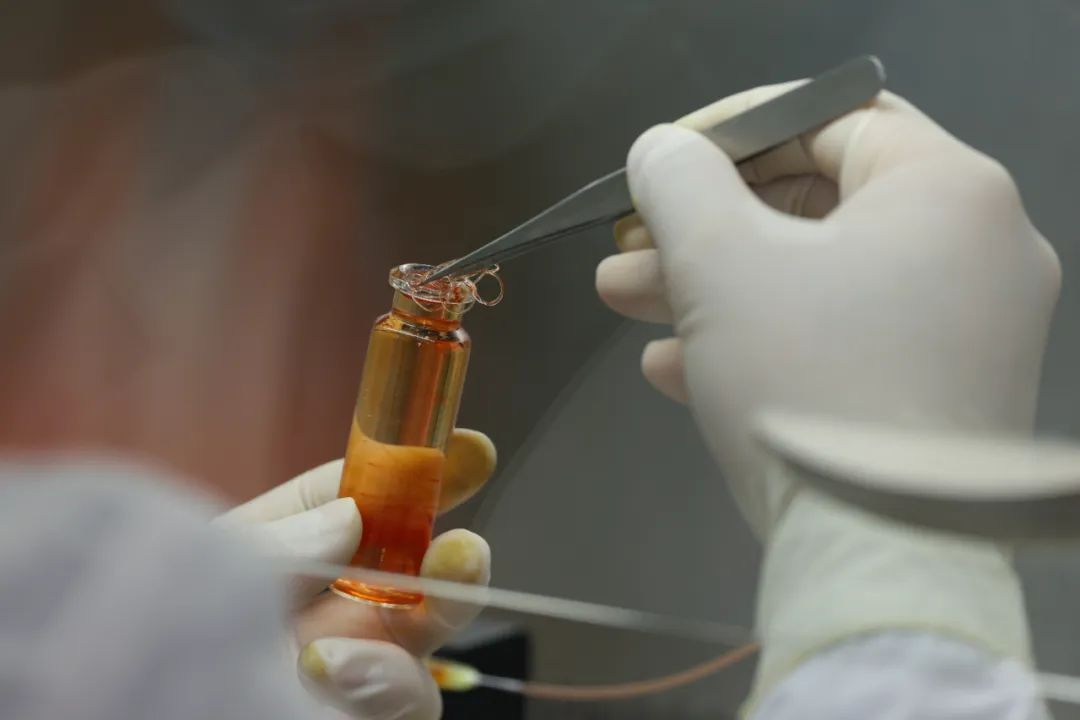 细胞培养肉：在实验室里&ldquo;种肉&rdquo;