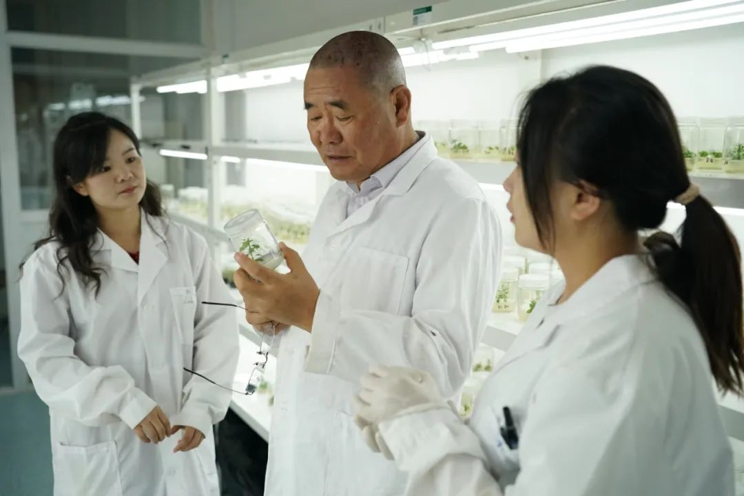 &ldquo;永为民族之太仓&rdquo;