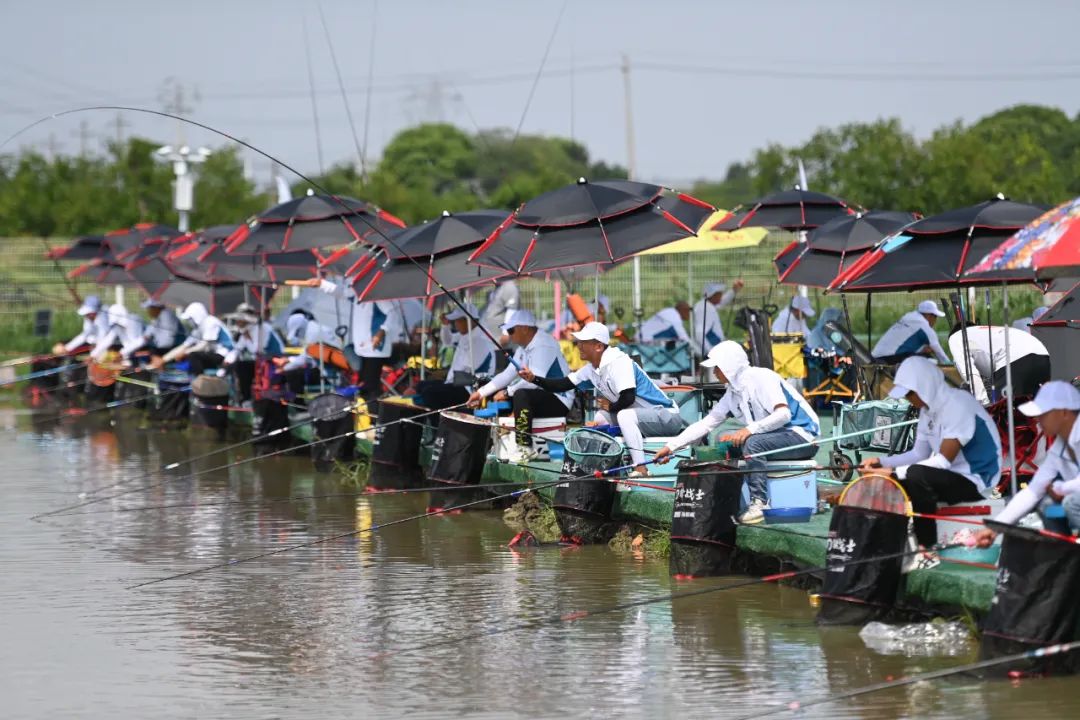 年轻人怎么纷纷加入了钓鱼大军？